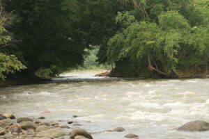 Lee más sobre el artículo ¿Quiere ser parte del consejo de cuenca del río Gualí? Esta información le puede interesar