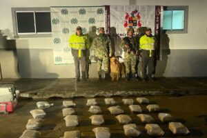 Lee más sobre el artículo Autoridades incautaron 30 kilos de marihuana en Cajamarca