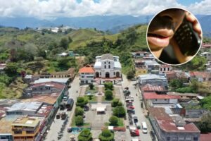 Lee más sobre el artículo Disparados los casos de extorsión a ganaderos, comerciantes y cafeteros de Casabianca