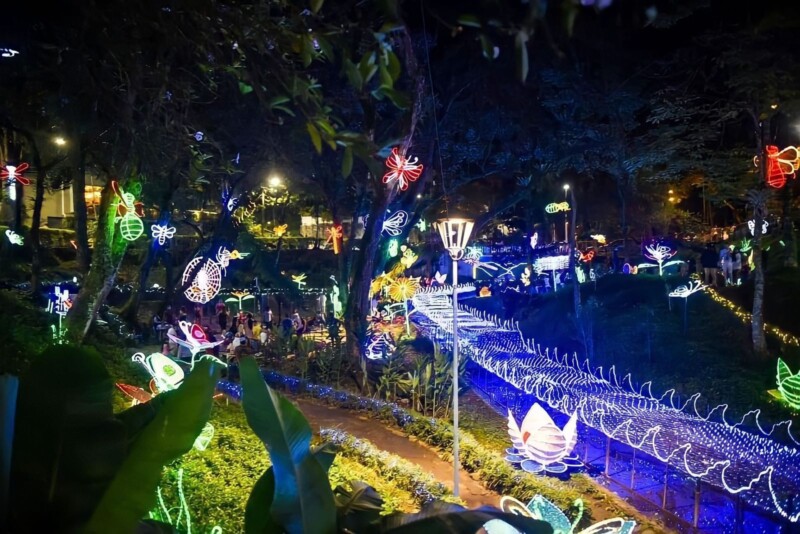 Lee más sobre el artículo ¡Por todo lo alto! Ibagué se prepara para vivir la magia de la Navidad