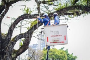 Lee más sobre el artículo Avanza la instalación del alumbrado navideño en Ibagué