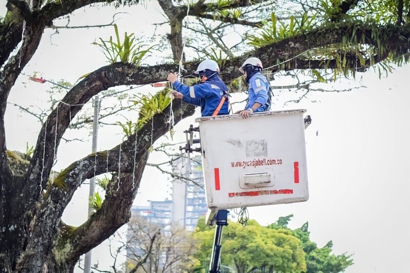 Lee más sobre el artículo Avanza la instalación del alumbrado navideño en Ibagué