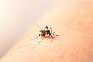 Lee más sobre el artículo ¡Pilas! Aumentaron los casos de dengue en Ibagué