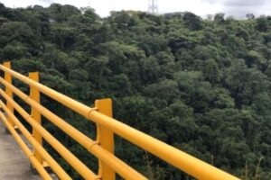 Lee más sobre el artículo En dos meses, puesto de vigilancia ha salvado la vida de 89 personas en el puente de la variante