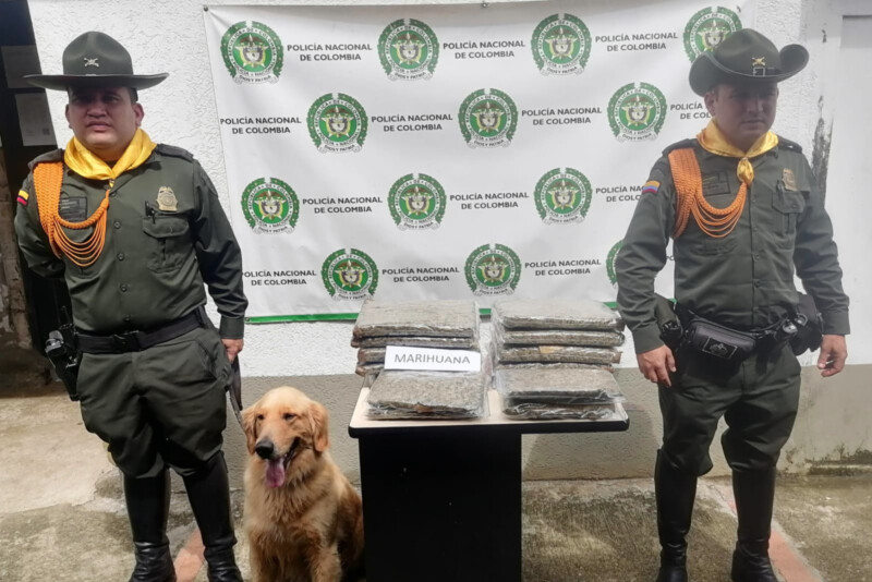 Lee más sobre el artículo Autoridades incautaron 12 mil dosis de marihuana en Ibagué