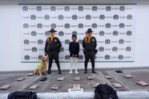 Lee más sobre el artículo La sorprendieron cargada de marihuana en la Terminal de Transporte de Ibagué