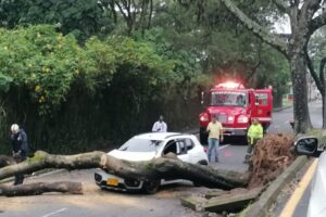 Lee más sobre el artículo Organismos de socorro atendieron emergencias en más de cinco barrios en Ibagué