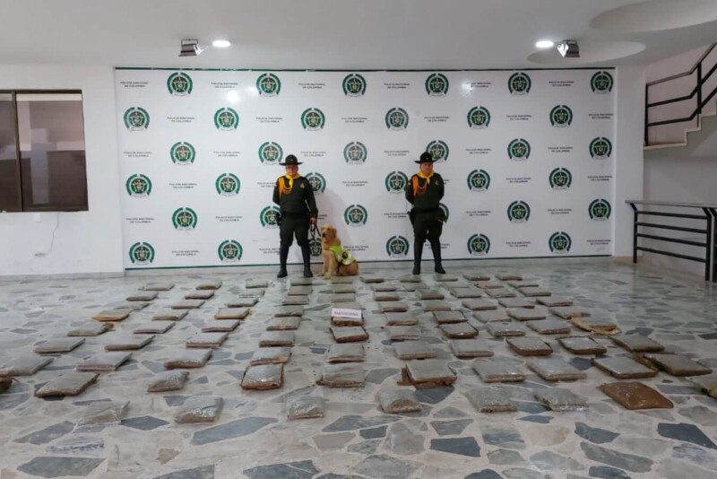 Lee más sobre el artículo Hallaron 85 mil dosis de marihuana en la bodega de una empresa de encomiendas en Ibagué