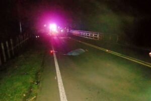 Lee más sobre el artículo Motociclista perdió la vida en accidente de tránsito en la vía Mariquita – Ibagué