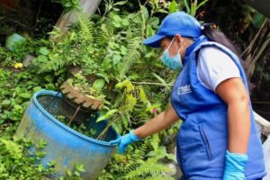 Lee más sobre el artículo Siga las siguientes recomendaciones para reducir la transmisión del dengue en Ibagué