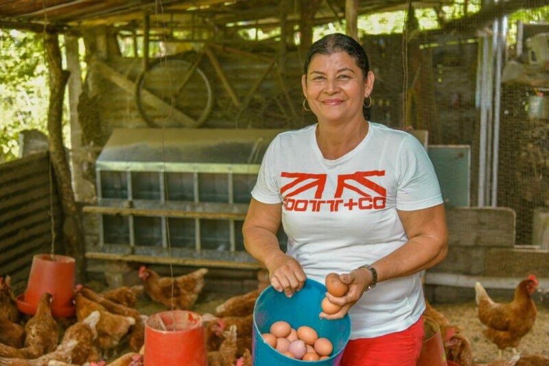En este momento estás viendo Mujeres campesinas de Ambalema empezaron su proceso como empresarias