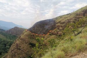 Lee más sobre el artículo Cortolima alerta a la comunidad para evitar incendios de cobertura vegetal