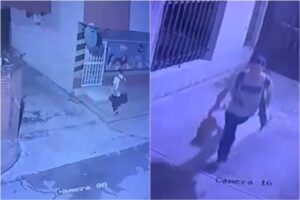 Lee más sobre el artículo Autoridades investigan caso de maltrato animal contra un felino en Ibagué