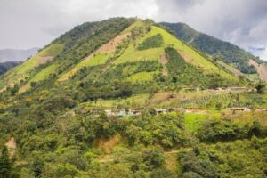 Lee más sobre el artículo Agencia Nacional de Tierras alerta a las comunidades por riesgo de estafas en el Tolima