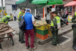Lee más sobre el artículo Autoridades incautaron más de 30 kilos de pescado en Ibagué