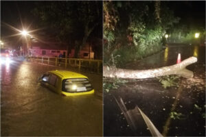 Lee más sobre el artículo Lluvias ocasionaron más de 20 emergencias en Ibagué