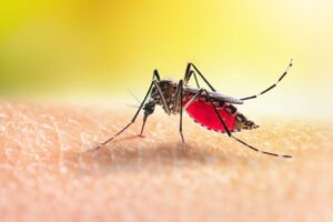 Lee más sobre el artículo ¡Atención! Se declara alerta epidemiológica por dengue en Ibagué
