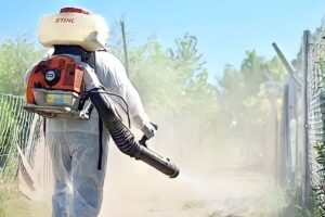 Lee más sobre el artículo Alcaldía de Ibagué aclara que todavía no se pueden realizar fumigaciones para eliminar el dengue