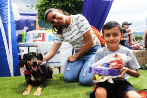 Lee más sobre el artículo 17 ‘peluditos’ encontraron un hogar en la jornada de ‘adoptatón’ del CAPA