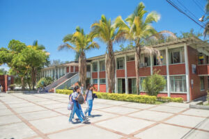 Lee más sobre el artículo Estudiantes repartieron viagra en una institución educativa de Ibagué