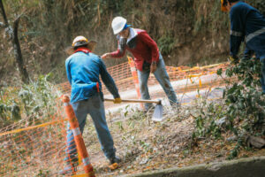 Lee más sobre el artículo Avanza la transformación de los separadores de la avenida Pedro Tafur