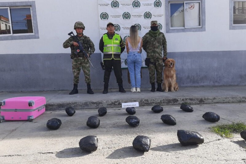 Lee más sobre el artículo Mujer fue sorprendida con siete kilos de marihuana en una vía del Tolima
