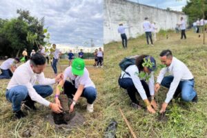 Lee más sobre el artículo Inició la siembra de 14.000 árboles en el Tolima