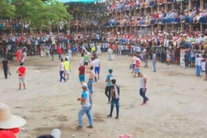 Lee más sobre el artículo Festividades del Guamo se realizarán sin actividades taurinas