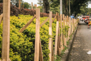 Lee más sobre el artículo Avanza la instalación de malla protectora para jardines de la carrera Quinta de Ibagué