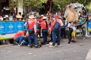 Lee más sobre el artículo Yegua que se desplomó en cabalgata de El Espinal fue trasladada a Ibagué