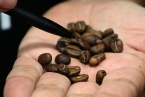 Lee más sobre el artículo En Ibagué se seleccionarán los mejores cafés tostados del país