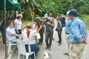 Lee más sobre el artículo Sanos y salvos se encuentran los montañistas que se habían extraviado en el Nevado del Tolima