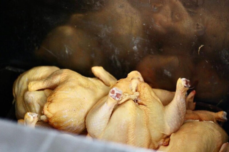Lee más sobre el artículo Autoridades cerraron un establecimiento de venta de pollo en la plaza de mercado de la calle 21