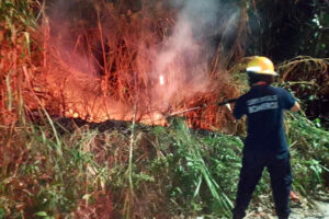 Lee más sobre el artículo Ideam declara alerta roja en Ibagué por altas temperaturas