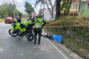 Lee más sobre el artículo Peatón perdió la vida en vía pública de la avenida Mirolindo de Ibagué