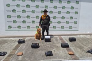 Lee más sobre el artículo Autoridades incautaron 43 kilos de marihuana en la Terminal de Transportes de Ibagué