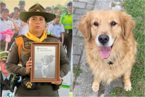 Lee más sobre el artículo ¡Adiós a una heroína de cuatro patas! Policía Tolima rindió homenaje a ‘Evenly’