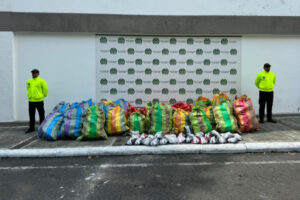 Lee más sobre el artículo Autoridades incautaron más de 1.300 pares de zapatillas de contrabando en Ibagué