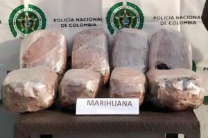 Lee más sobre el artículo Autoridades incautaron 12 kilogramos de marihuana en Cajamarca
