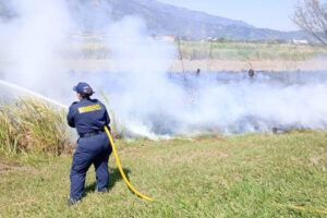 Lee más sobre el artículo Aumentan los incendios forestales en Ibagué
