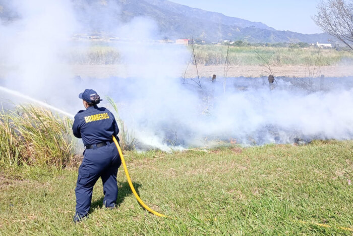 Lee más sobre el artículo Aumentan los incendios forestales en Ibagué