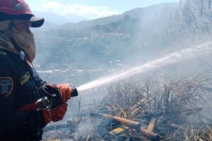 Lee más sobre el artículo Esta es la millonaria multa que deberán pagar quienes ocasionen incendios forestales en Ibagué