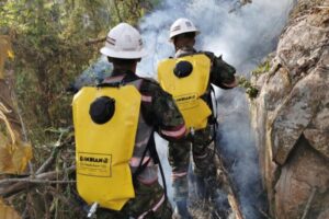 Lee más sobre el artículo El Tolima está en alerta por amenaza de incendios de cobertura vegetal