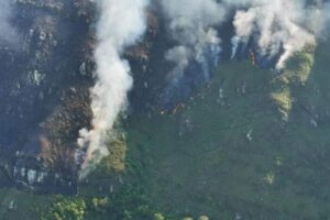 Lee más sobre el artículo ¡Atención! Alerta naranja en el Tolima por probabilidad de incendios forestales