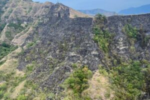 Lee más sobre el artículo Organismos de socorro controlaron el incendio forestal en el municipio de Honda