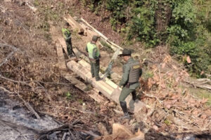 Lee más sobre el artículo Incautaron 60 metros cúbicos de madera que fue talada ilegalmente en zona rural de Ibagué