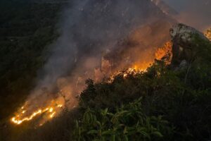 Lee más sobre el artículo Alerta en Purificación por incendio forestal que consume vegetación del cerro Perico
