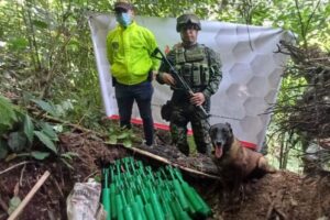 Lee más sobre el artículo Autoridades ubicaron 30 granadas artesanales en el sur del Tolima