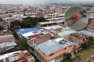 Lee más sobre el artículo Esta madrugada fue asesinado un hombre en la comuna Siete de Ibagué