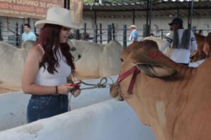 Lee más sobre el artículo Participe este sábado de la gran subasta ganadera en el Coliseo de Ferias de Ibagué